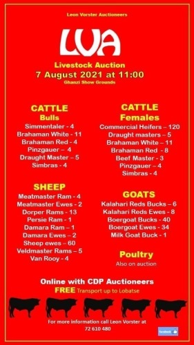 LVA LIVESTOCK AUCTION - Ghanzi Botswana