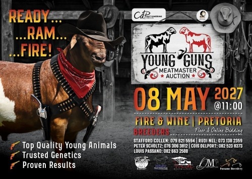 YOUNG GUNS MEATMASTER AUCTION