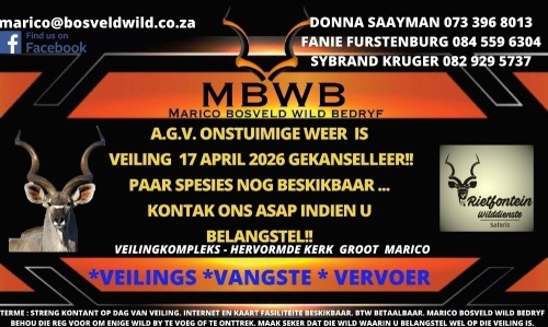 MBWB - MARICO BOSVELD WILD BEDRYF