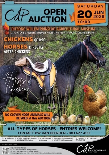 CDP OPEN HORSE AUCTION - DITSONG WILLEM PRINSLOO AGRICULTURAL MUSEUM