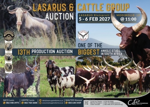 LASARUS 13TH PRODUCTION AUCTION