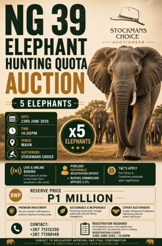 NG39 Elephant Hunting Quota Auction
