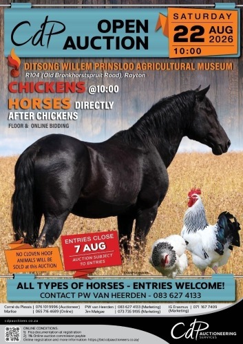 CDP OPEN HORSE AUCTION - DITSONG WILLEM PRINSLOO AGRICULTURAL MUSEUM
