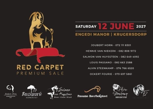 RED CARPET PREMIUM SALE