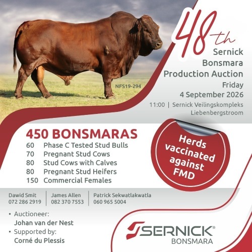 48TH SERNICK BONSMARA PRODUCTION AUCTION