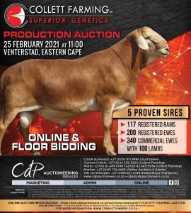 COLLETT FARMING PRODUCTION AUCTION