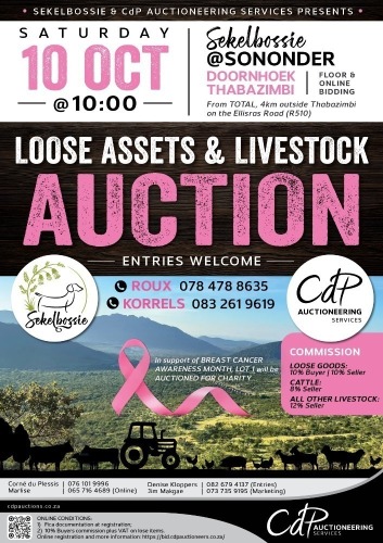 LOOSE ASSETS & LIVESTOCK AUCTION THABAZIMBI