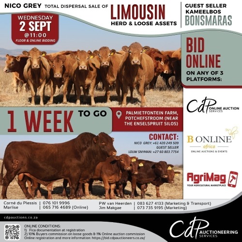 NICO GREY TOTAL DISPERSAL SALE OF LIMOUSIN HERD & LOOSE ASSETS