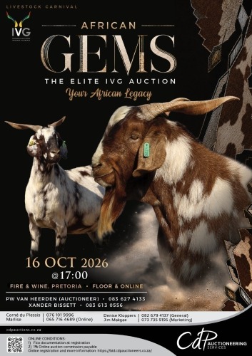 AFRICAN GEMS - THE ELITE IVG AUCTION