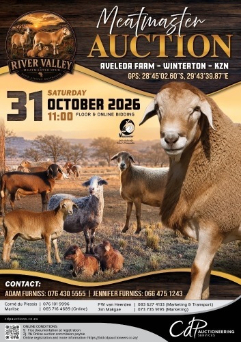 RIVER VALLEY MEATMASTER AUCTION
