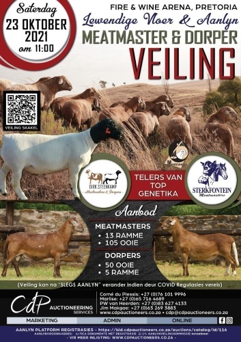 STERKFONTEIN MEATMASTERS & DIRK STEENKAMP DORPER VEILING
