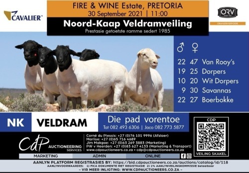 Noord-Kaap Veldramveiling