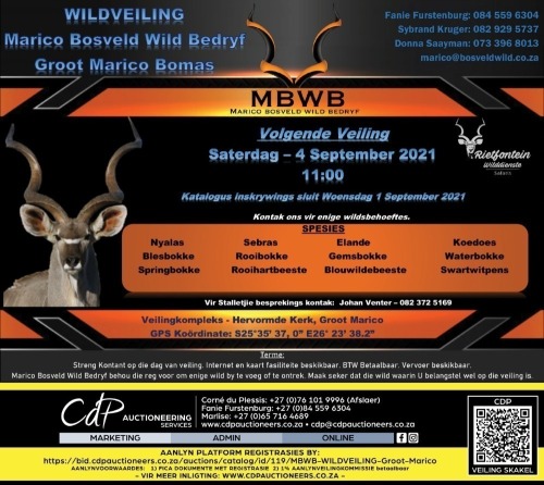MBWB - WILDVEILING - Groot Marico