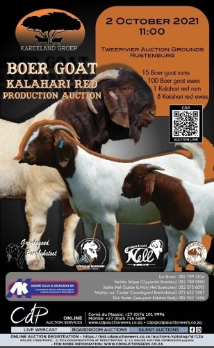 KAREELAND BOER GOAT &  KALAHARI RED PRODUCTION AUCTION