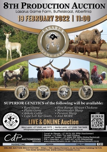 LASARUS GAME FARM  8TH PRODUCTION AUCTION - ALBERTINA