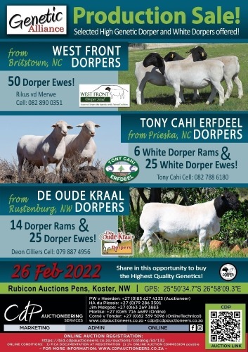 GENETIC ALLIANCE PRODUCTION SALE - KOSTER