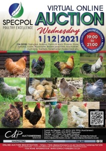  POULTRY AUCTION