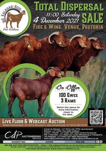 J & S KALAHARI REDS TOTAL DISPERSAL SALE