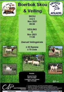 SENTRAAL BINNELAND BOERBOK SKOU & VEILING