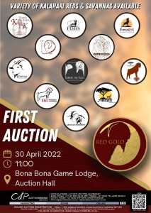 RED GOLD PRODUKSIE VEILING - BONA BONA LODGE WOLMARANSTAD