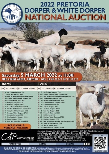 NATIONAL DORPER AUCTION