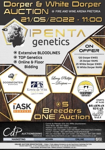 PENTA GENETICS - DORPER VEILING PRETORIA
