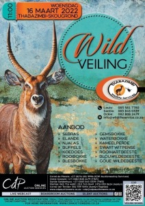 THABAZIMBI WILDLIFE SERVICES WILDVEILING