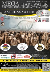 MEGA HARTWATER MEATMASTER AUCTION