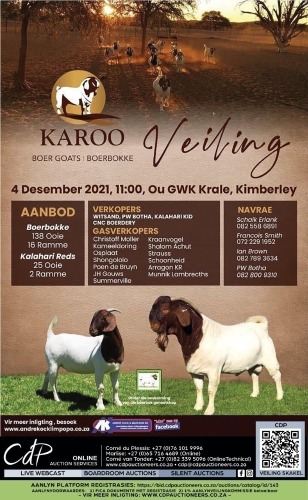 KAROO BOER GOAT AUCTION - JANSENVILLE