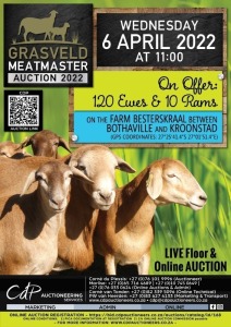 GRASVELD MEATMASTER VEILING