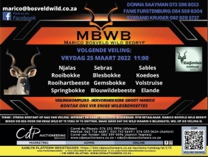 MBWB - WILDVEILING - Groot Marico