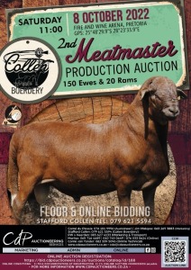 COLLEN BOERDERY 2ND MEATMASTER PRODUCTION AUCTION