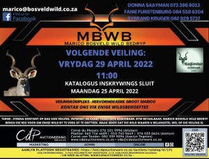 MBWB - WILDVEILING - Groot Marico