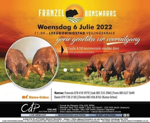 FRANZEL BONSMARA AUCTION - LEEUDORINGSTAD