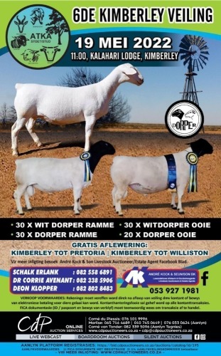 ATKA STOET 6DE KIMBERLEY PRODUKSIE VEILING