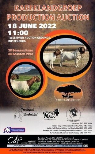 KAREELAND GROEP VEILING
