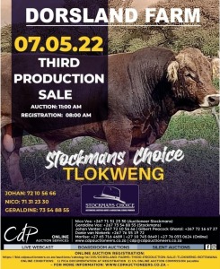 DORSLAND FARM THIRD PRODUCTION SALE - TLOKWENG, BOTSWANA