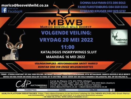 MBWB - WILDVEILING - Groot Marico