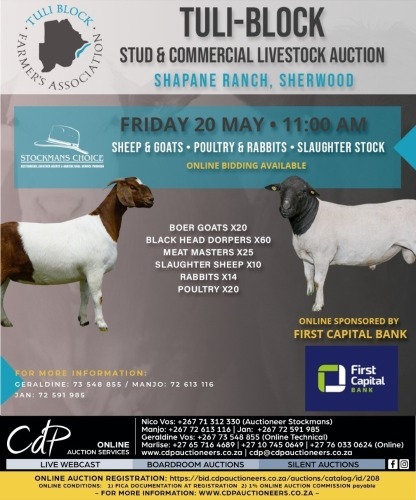 TULI - BLOCK STUD & COMMERCIAL LIVESTOCK AUCTION-  BOTSWANA