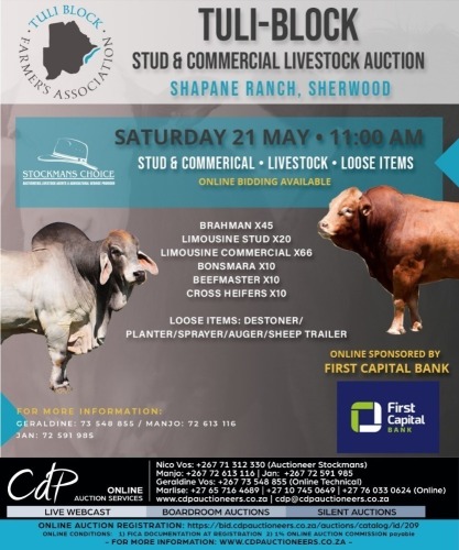 TULI - BLOCK STUD & COMMERCIAL LIVESTOCK AUCTION-  BOTSWANA