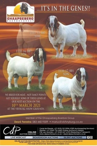 GHAAPSEBERG BOERBOKGROEP