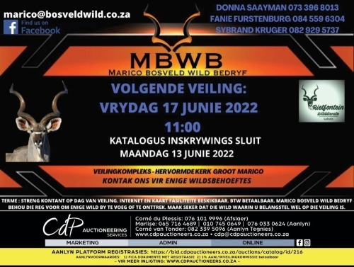 MBWB - WILDVEILING - Groot Marico