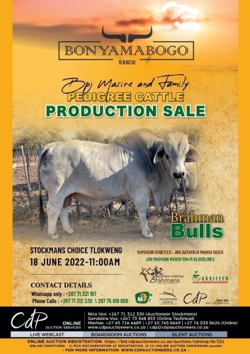 BONYA MABOGO FARMS PRODUCTION SALE, BOTSWANA