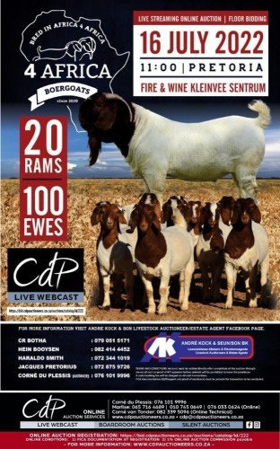 4 AFRICA BOER GOAT AUCTION