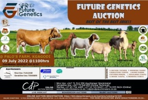FUTURE GENETIC AUCTION @ PALOS FARM, KGAGODI - BOTSWANA