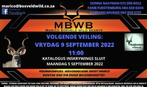 MBWB - WILDVEILING - Groot Marico