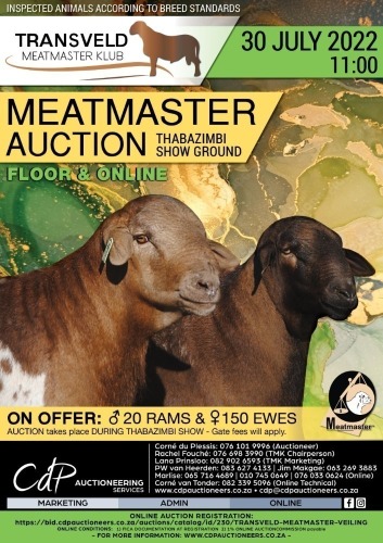 TRANSVELD MEATMASTER VEILING