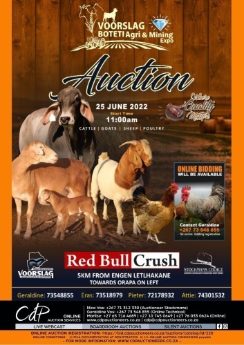 VOORSLAG BOTETI AUCTION, BOTSWANA TIMED AUCTION