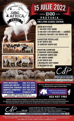 4 AFRICA SHEEP AUCTION