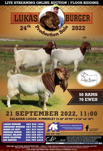 LUKAS BURGER 24th PRODUCTION SALE 2022